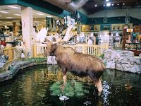photos 2000-200901004